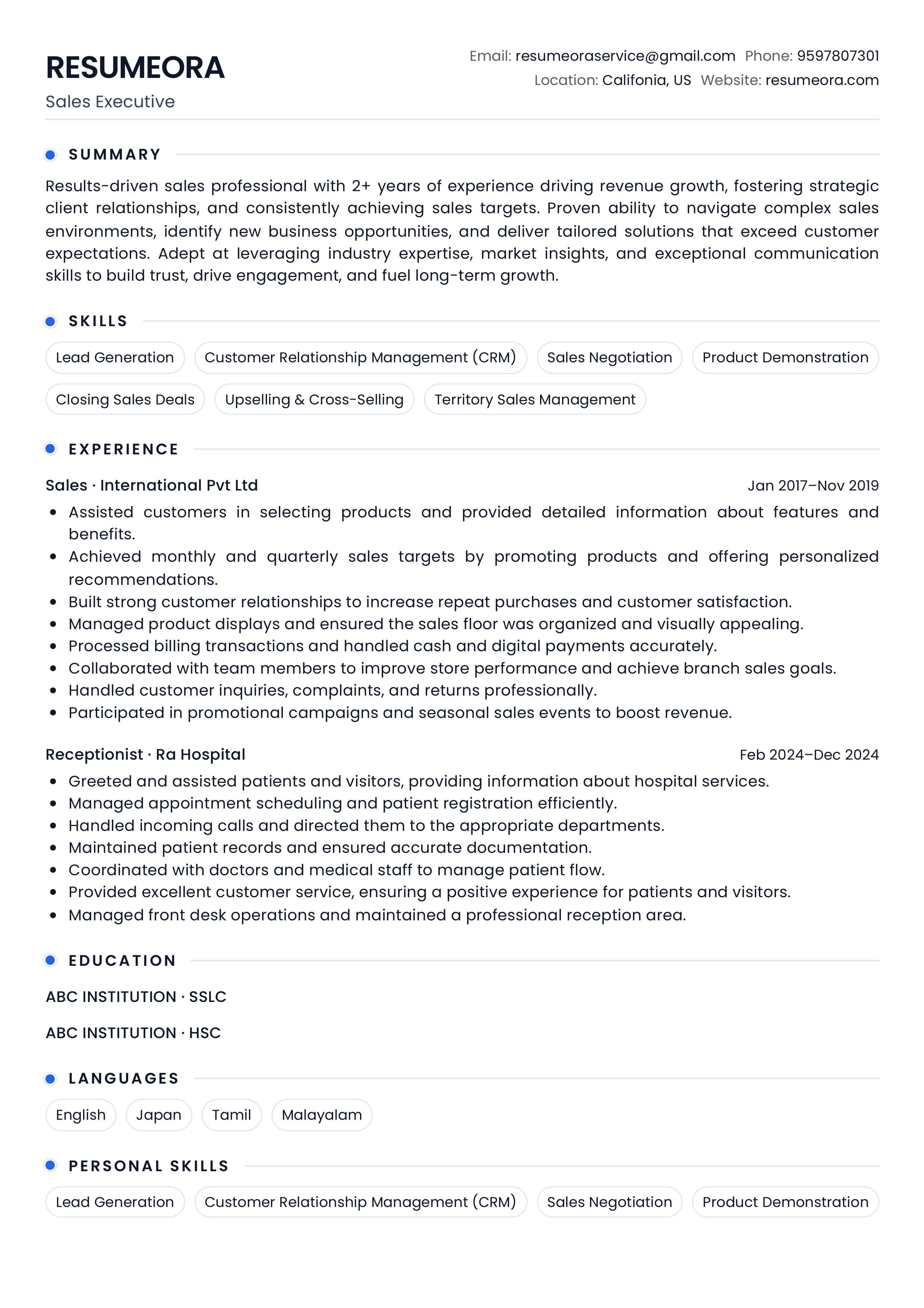 Modern Professional — Resumeora resume template