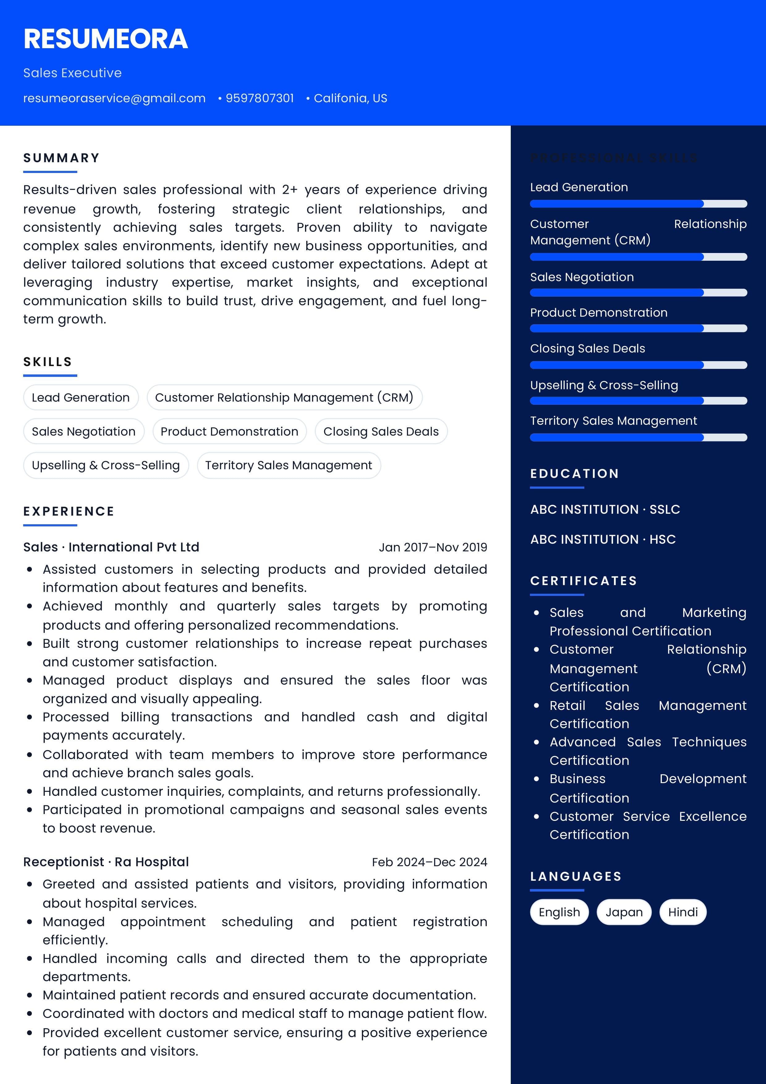 Blue Bars — Resumeora resume template